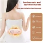 HappyPet Comfort - Menstruációs masszírozó öv (fehér)